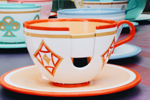 20 Tips For Traveling to Disneyland with a Baby or Toddler