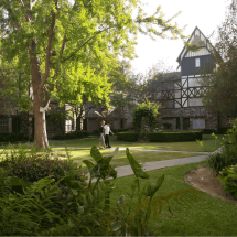 Trees and lush green foliage surround the back of Anaheim Majestic Garden Hotel