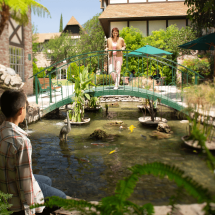 Koi pond and outdoor garden at Anaheim Majestic Garden Hotel