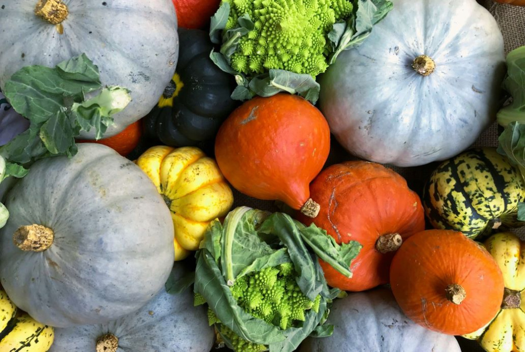 The Ultimate Fall Foodie Weekend in Anaheim: An Itinerary